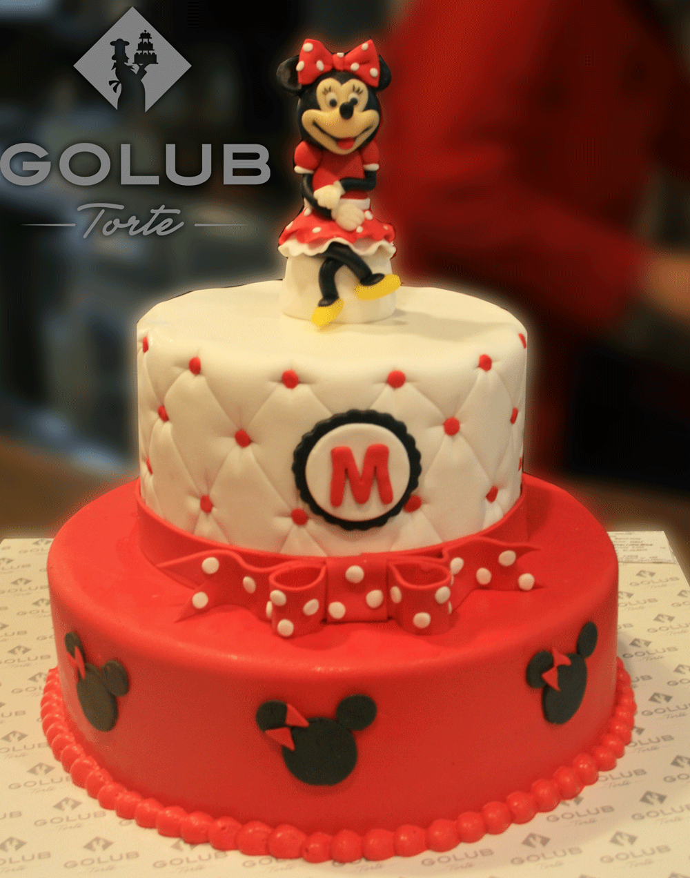 minnie mouse d313