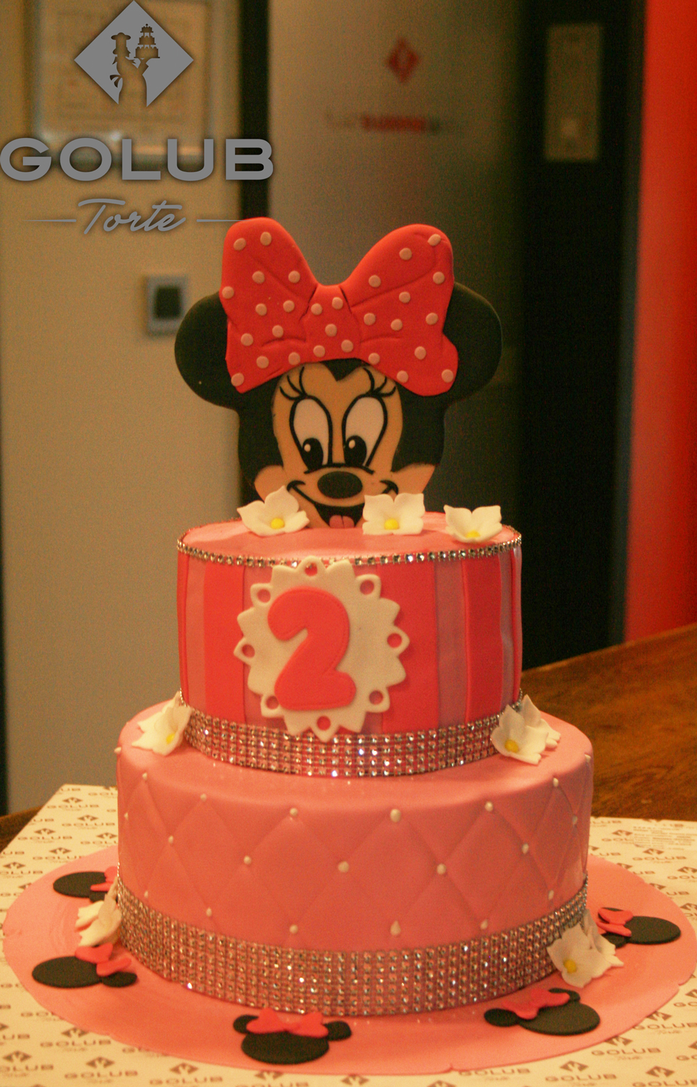 Minnie mouse DS439