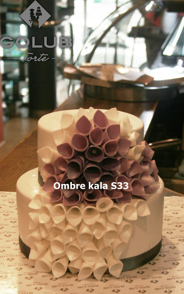 Ombre Kala S33