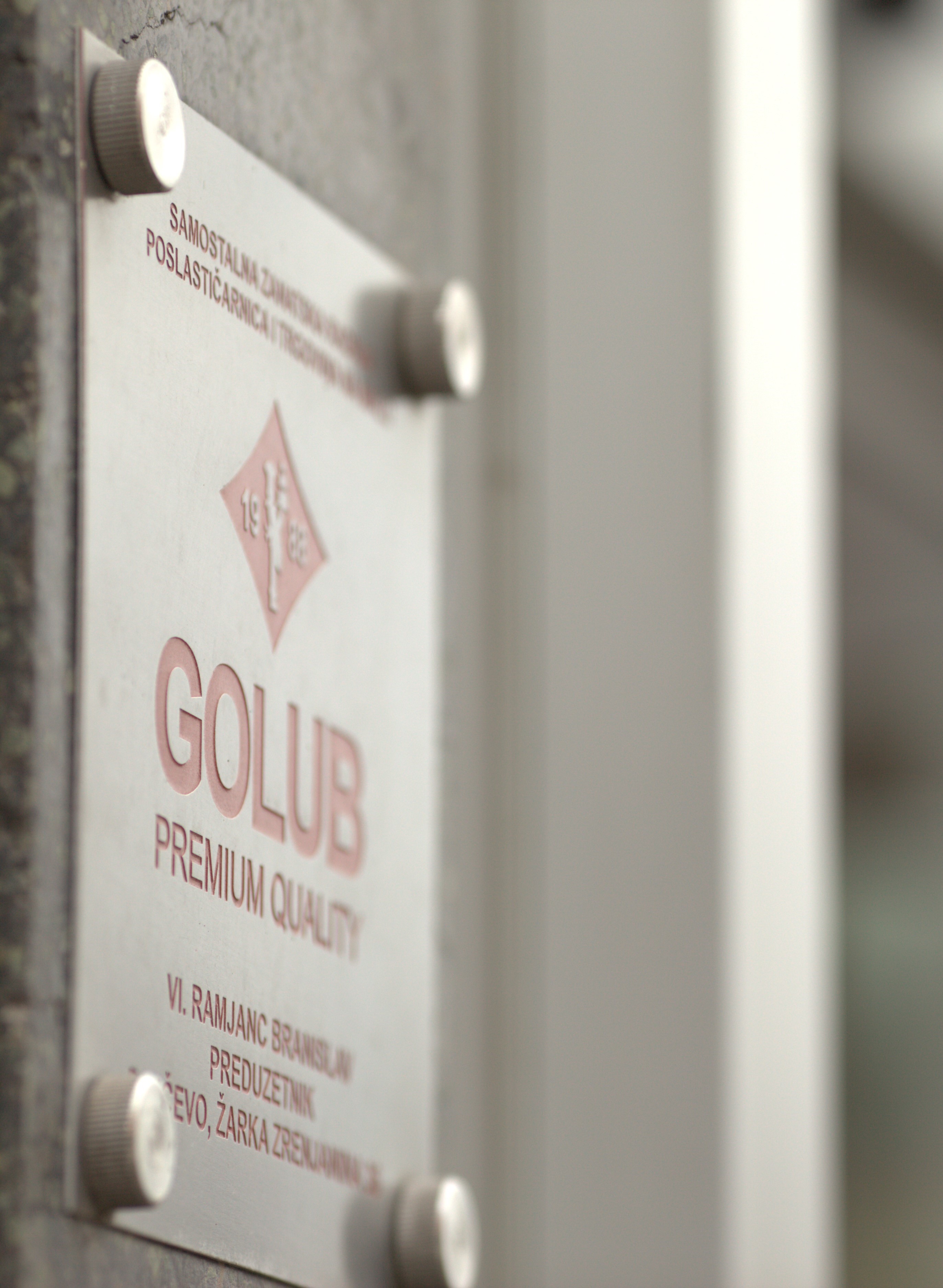 GOLUB torte tim